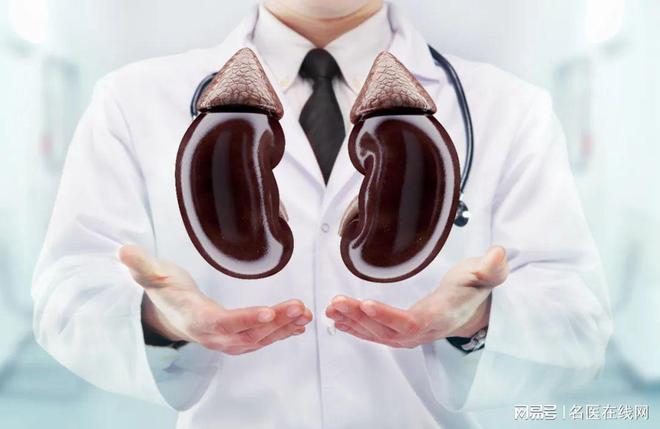 开云体育 kaiyun.com 官网入口年前大扫除肾友要注意1个地方！检查家里有没有这种情况(图1)