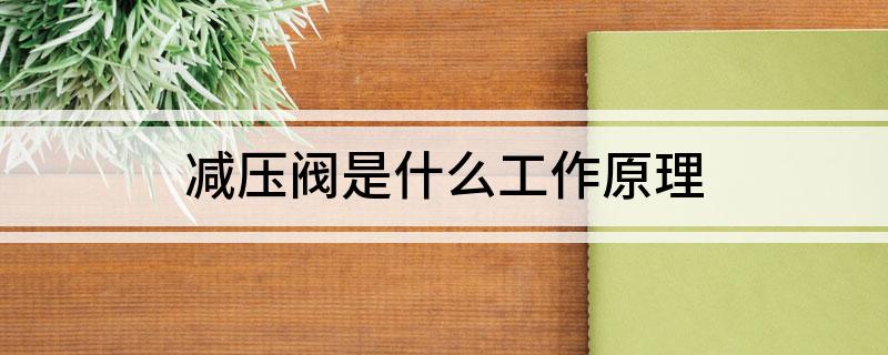 减压阀是什么工作原理开云 开云体育官网(图1)