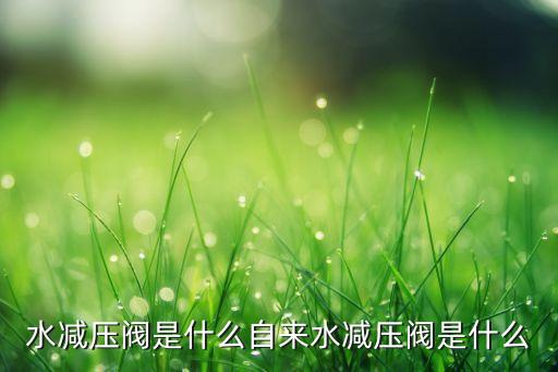 自来水减压阀自来水减压阀的介绍Kaiyun 开云(图2)