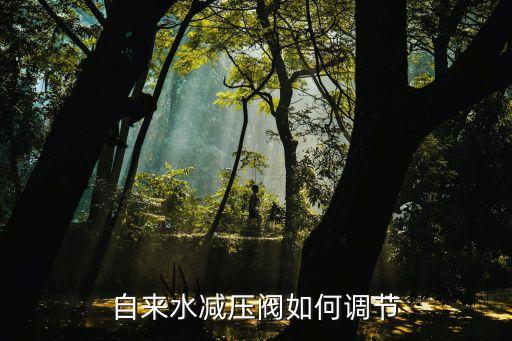 自来水减压阀自来水减压阀的介绍Kaiyun 开云(图1)