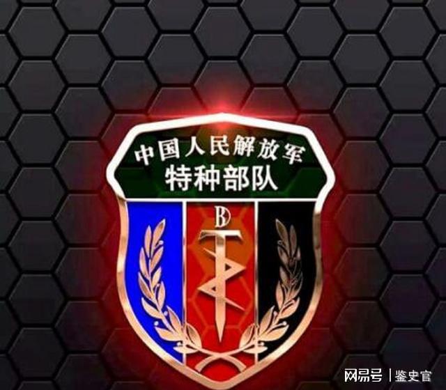 中国特种部队的符号详细开云APP 开云官网入口讲解(图3)