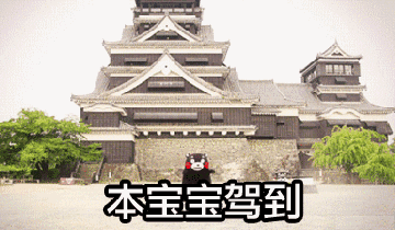 Kaiyun 开云周冬雨、黄子韬、尔康为都什么都杠上它？(图7)