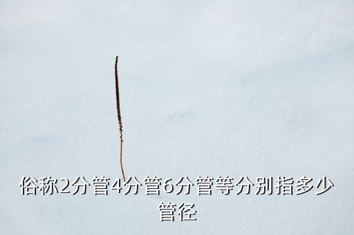管件尺寸表标准的塑料管材规格型号表开云体育 开云平台(图3)